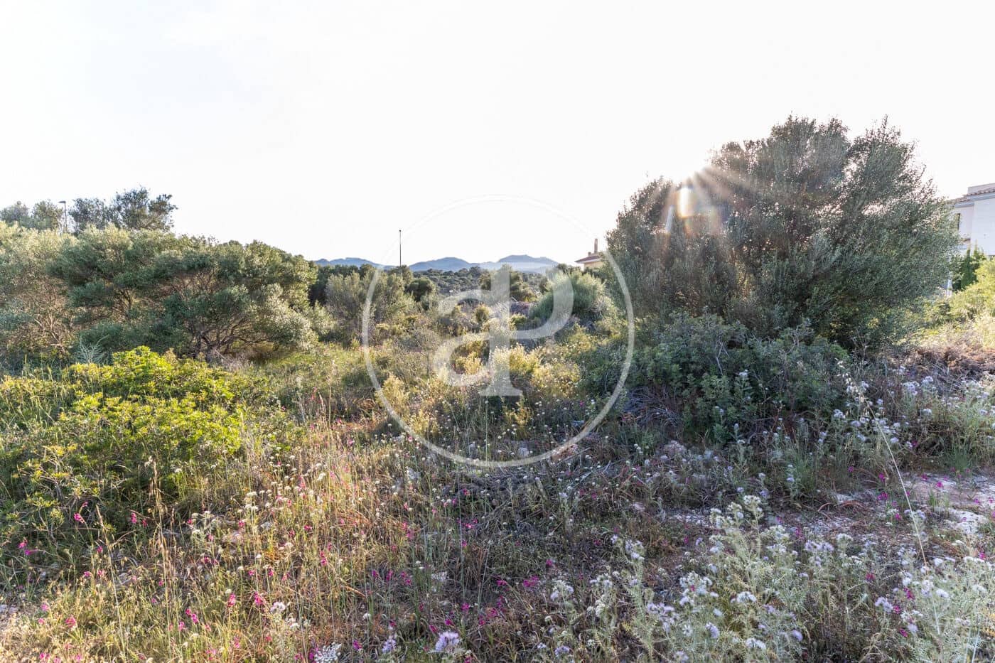 Grond te koop in Calas de Mallorca - € 140.000 (Ref: 8719055)