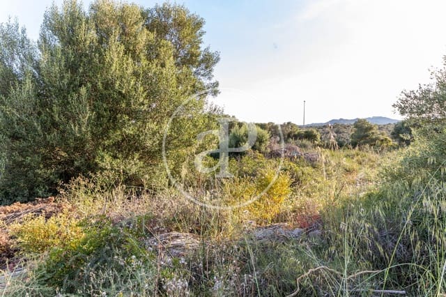 Grond te koop in Calas de Mallorca, Manacor - € 140.000 (Ref: 8719055)