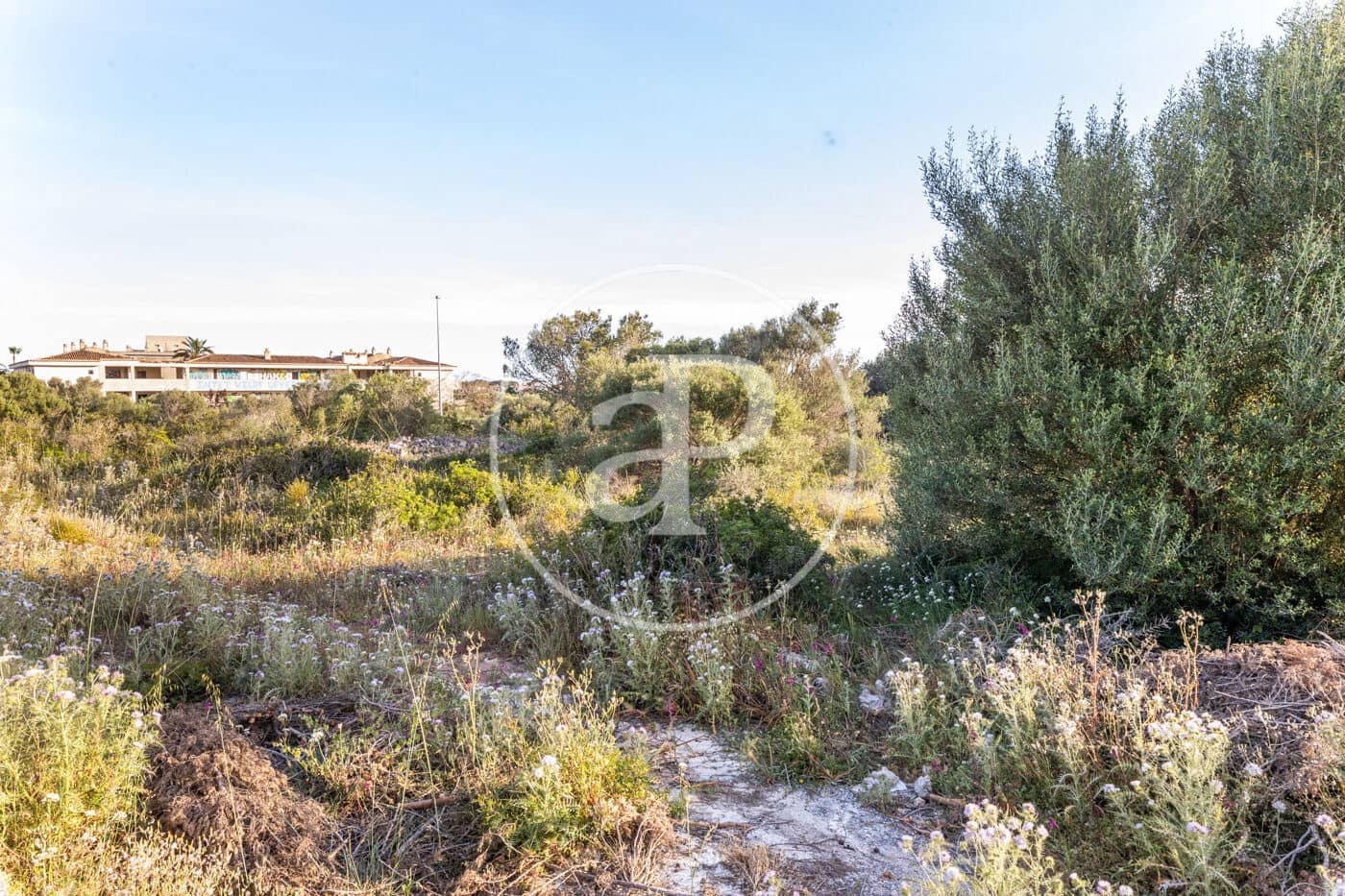 Grond te koop in Calas de Mallorca - € 140.000 (Ref: 8719055)