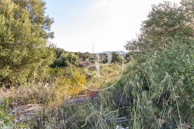 Grond te koop in Calas de Mallorca, Manacor - € 140.000 (Ref: 8719055)