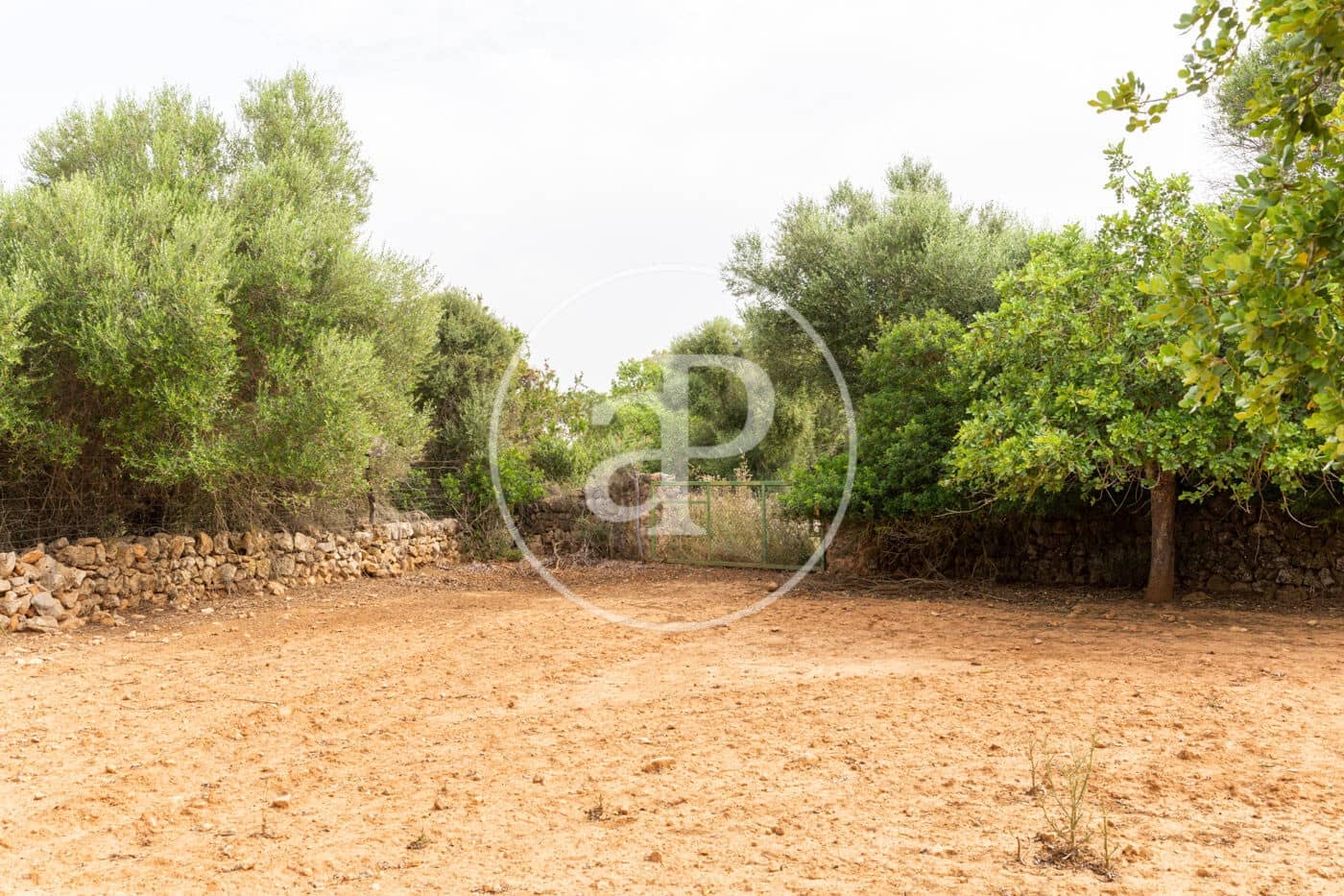 Ubebygd land til salgs i Manacor - € 390 000 (Ref: 8719056)
