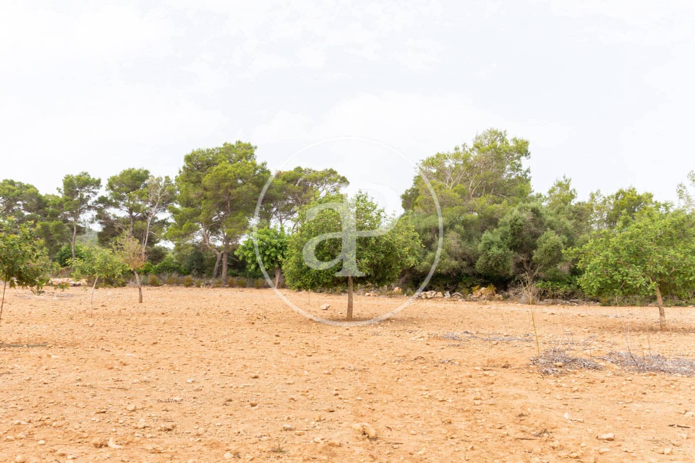 Ubebygd land til salgs i Manacor - € 390 000 (Ref: 8719056)