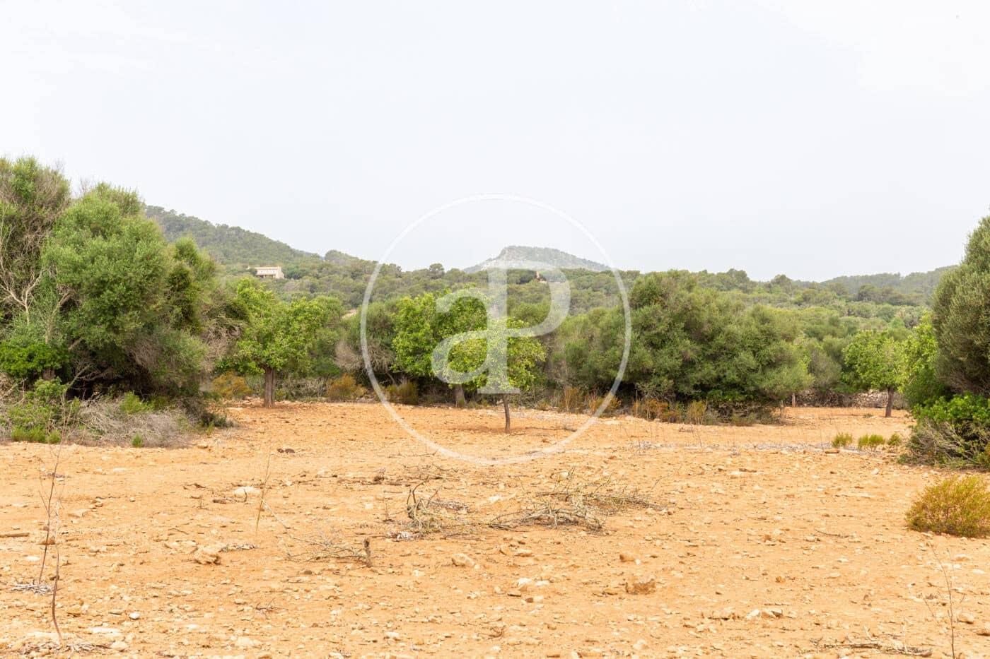 Ubebygd land til salgs i Manacor - € 390 000 (Ref: 8719056)