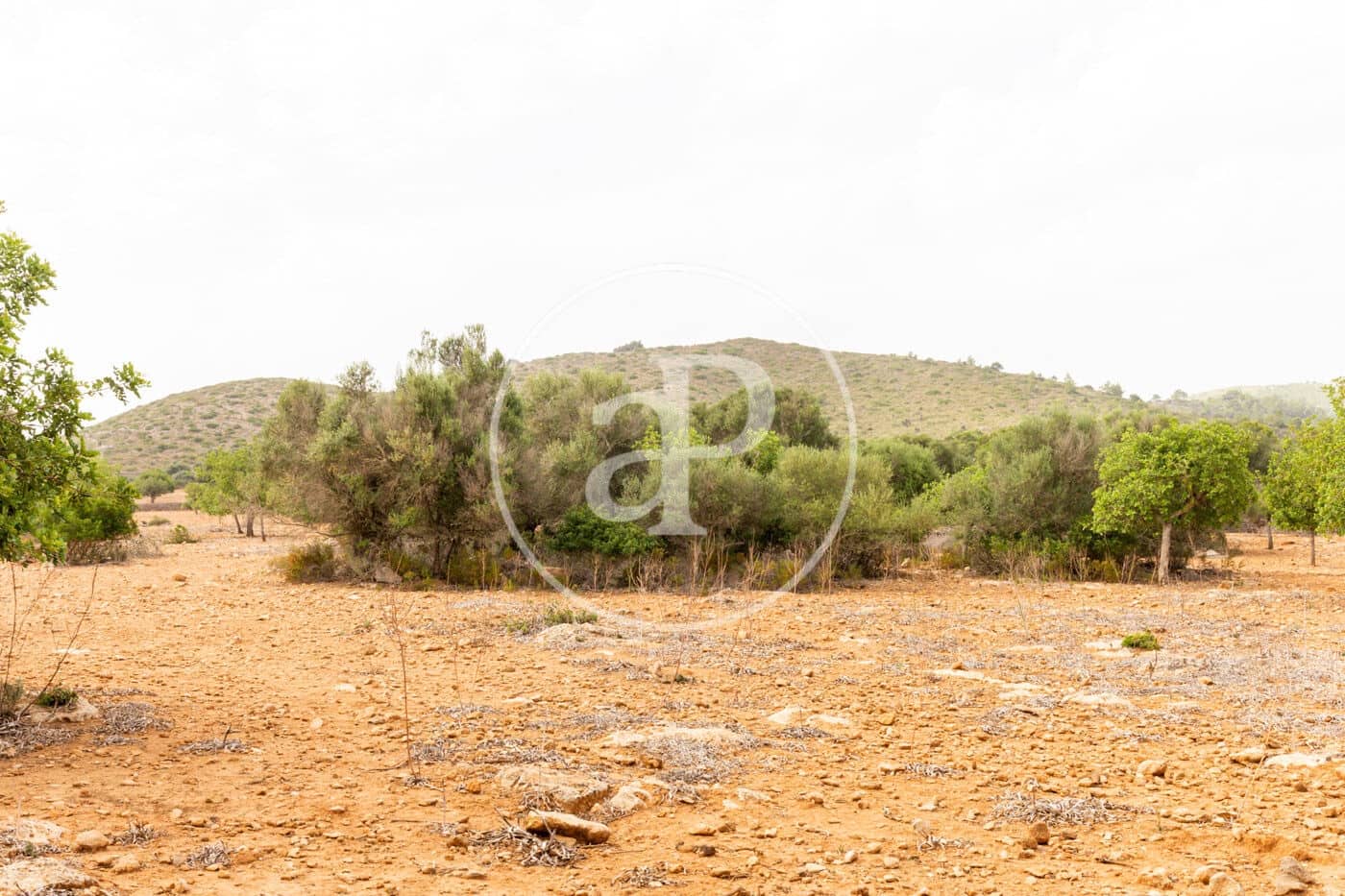 Ubebygd land til salgs i Manacor - € 390 000 (Ref: 8719056)