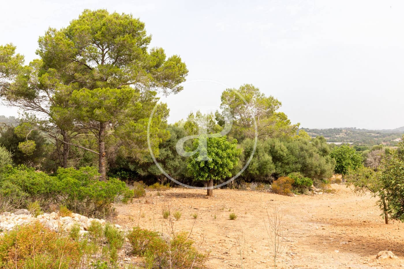 Ubebygd land til salgs i Manacor - € 390 000 (Ref: 8719056)