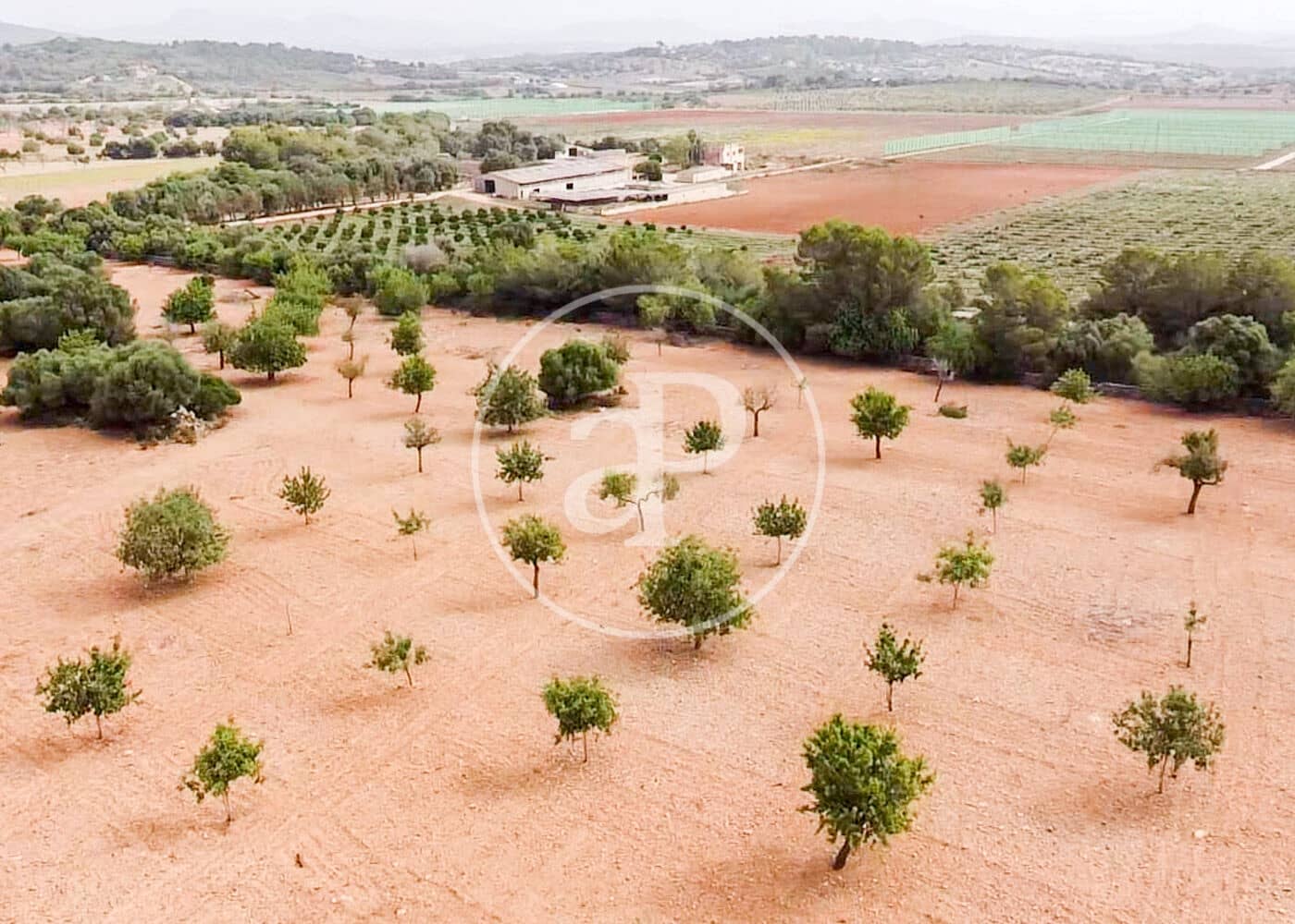 Ubebygd land til salgs i Manacor - € 390 000 (Ref: 8719056)