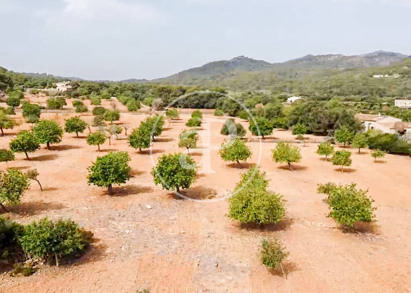 Ubebygd land til salgs i Manacor - € 390 000 (Ref: 8719056)