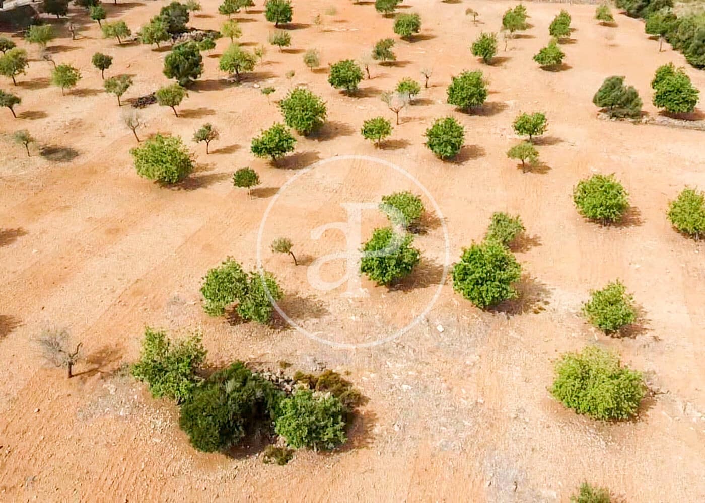 Ubebygd land til salgs i Manacor - € 390 000 (Ref: 8719056)