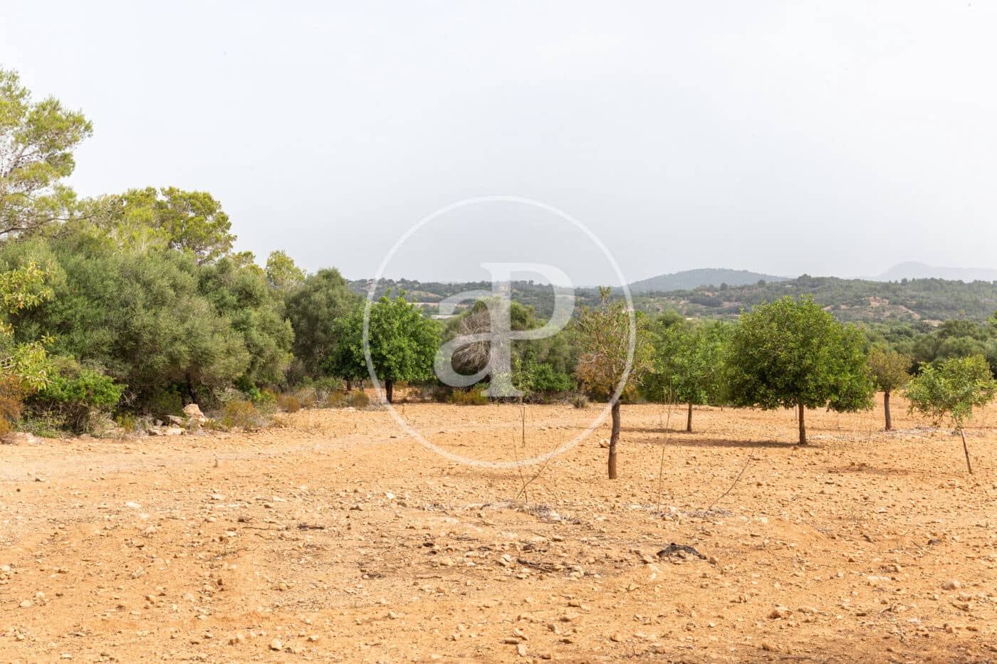 Ubebygd land til salgs i Manacor - € 390 000 (Ref: 8719056)