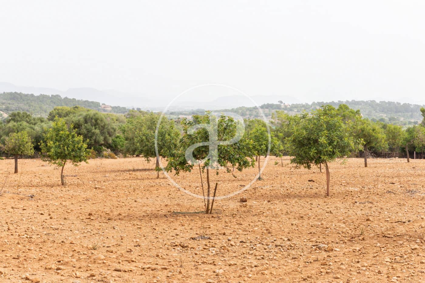 Ubebygd land til salgs i Manacor - € 390 000 (Ref: 8719056)