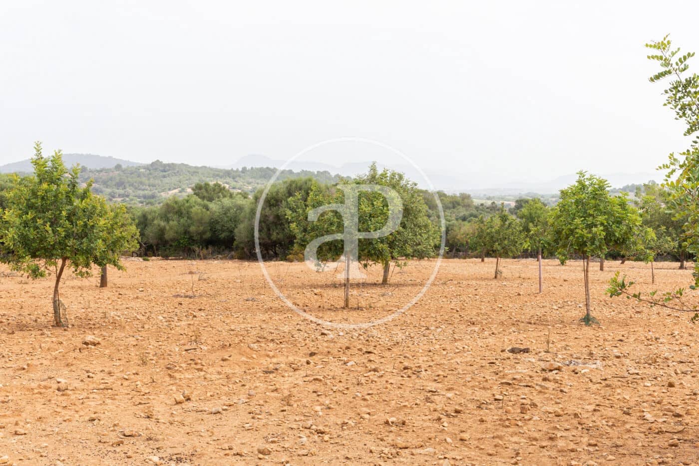 Ubebygd land til salgs i Manacor - € 390 000 (Ref: 8719056)