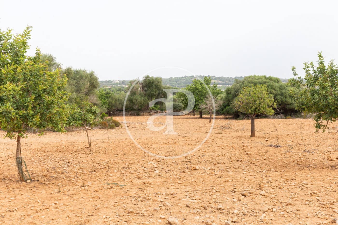 Ubebygd land til salgs i Manacor - € 390 000 (Ref: 8719056)