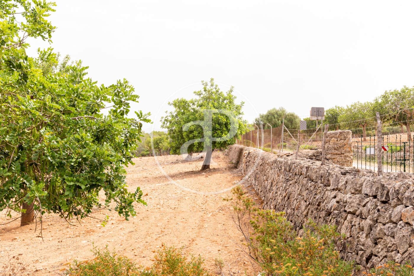 Ubebygd land til salgs i Manacor - € 390 000 (Ref: 8719056)