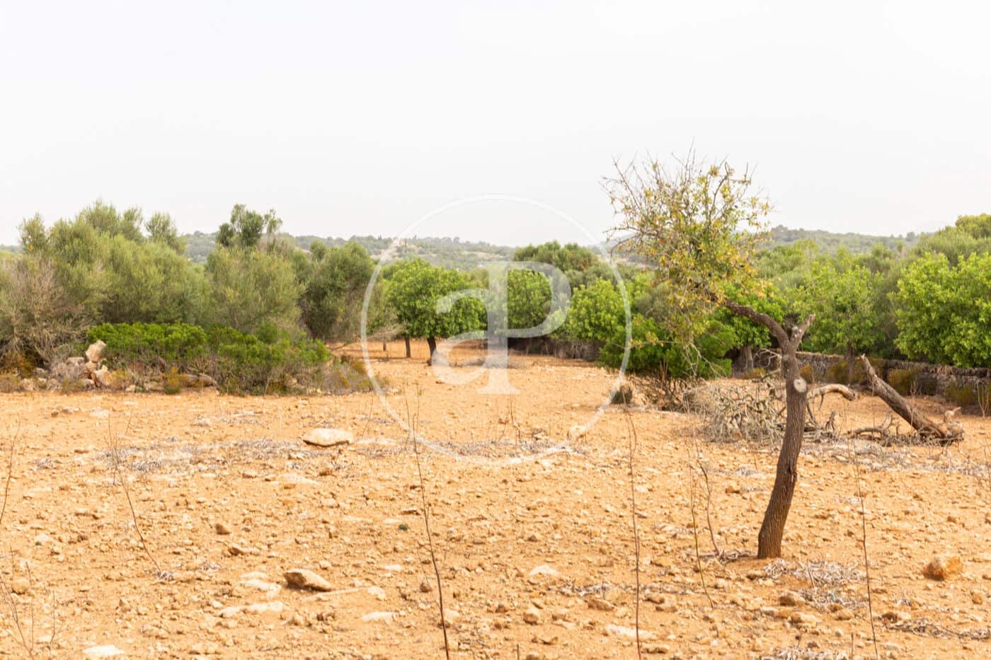 Ubebygd land til salgs i Manacor - € 390 000 (Ref: 8719056)