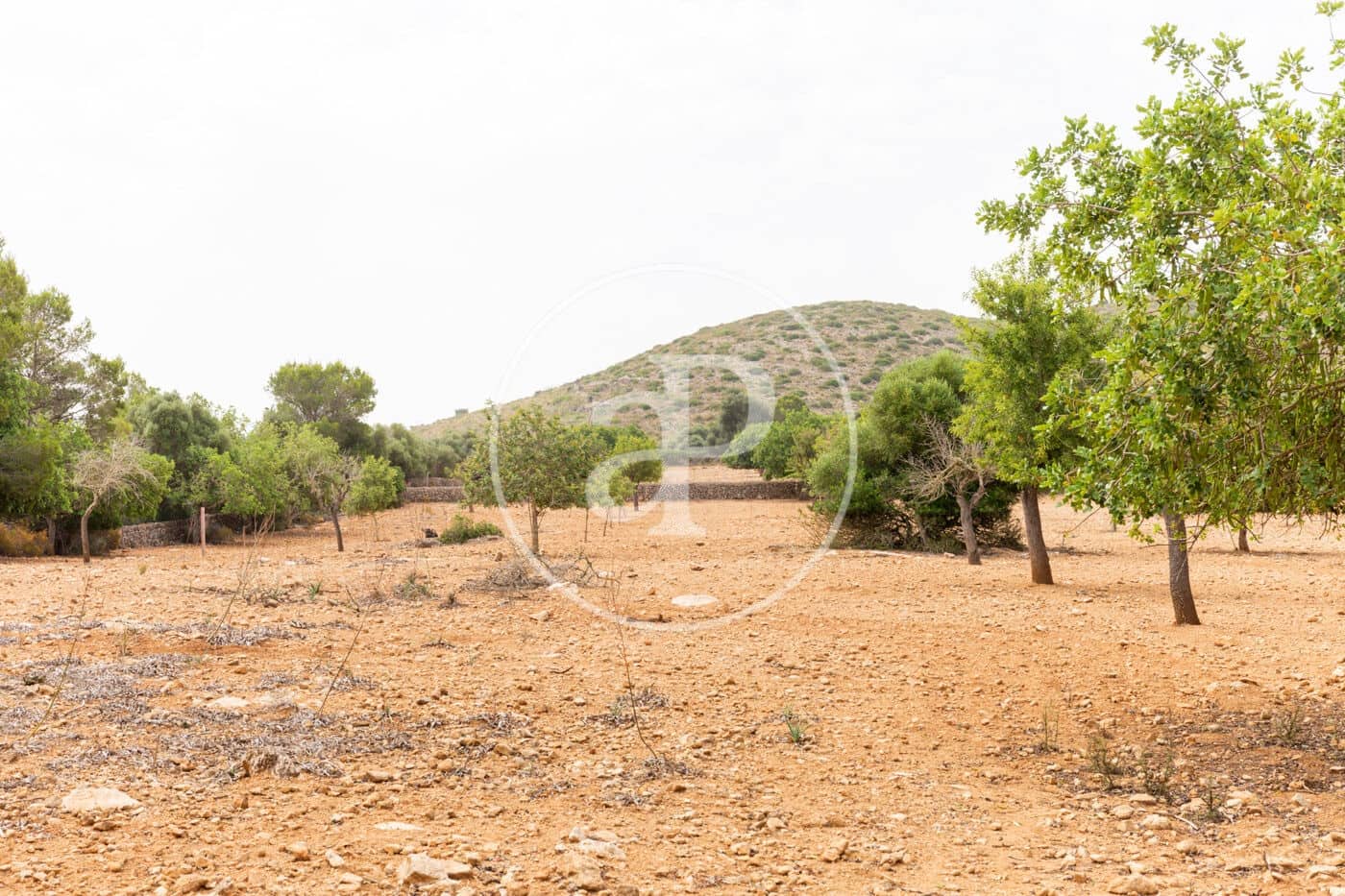 Ubebygd land til salgs i Manacor - € 390 000 (Ref: 8719056)