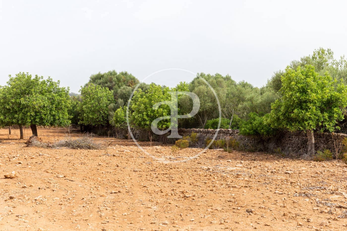 Ubebygd land til salgs i Manacor - € 390 000 (Ref: 8719056)