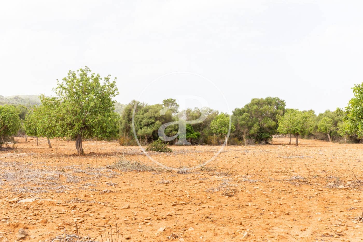 Ubebygd land til salgs i Manacor - € 390 000 (Ref: 8719056)