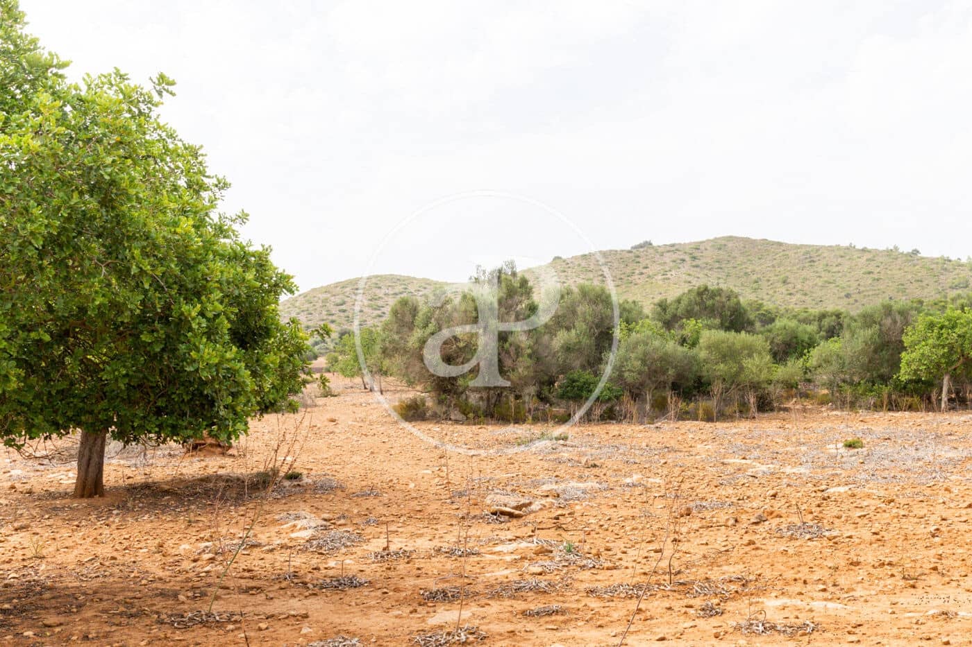 Ubebygd land til salgs i Manacor - € 390 000 (Ref: 8719056)