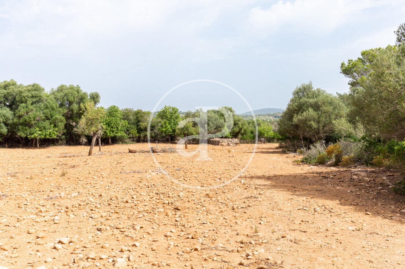 Ubebygd land til salgs i Manacor - € 390 000 (Ref: 8719056)