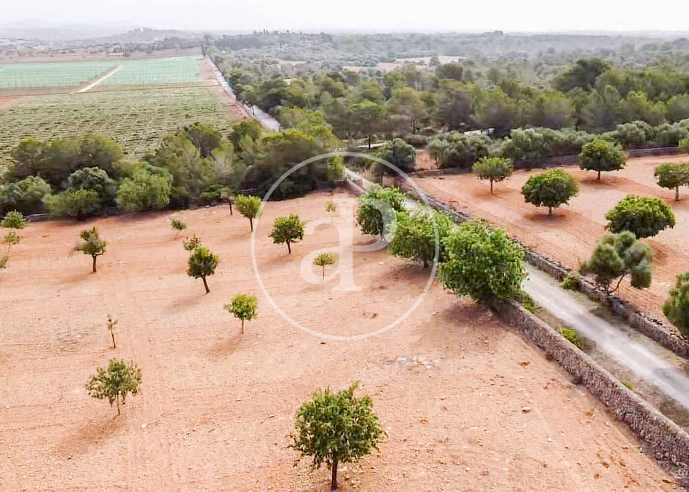 Ubebygd land til salgs i Manacor - € 390 000 (Ref: 8719056)