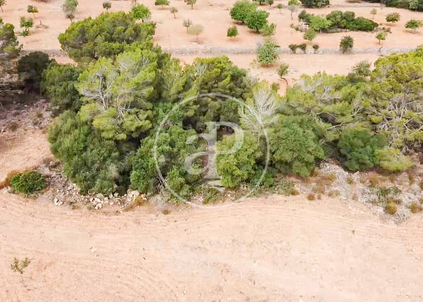 Ubebygd land til salgs i Manacor - € 390 000 (Ref: 8719056)