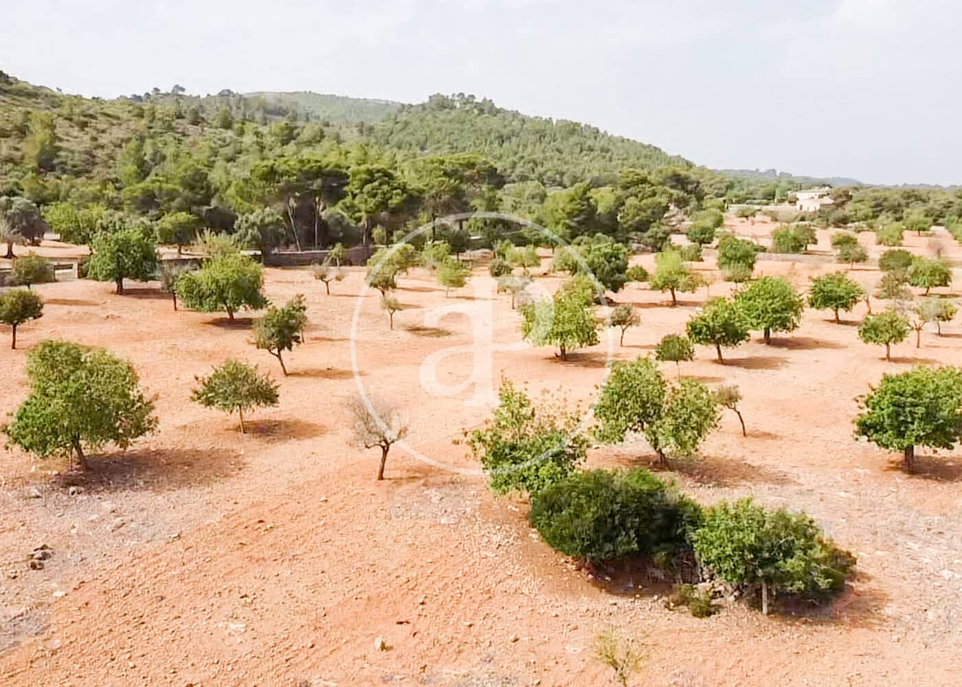 Ubebygd land til salgs i Manacor - € 390 000 (Ref: 8719056)