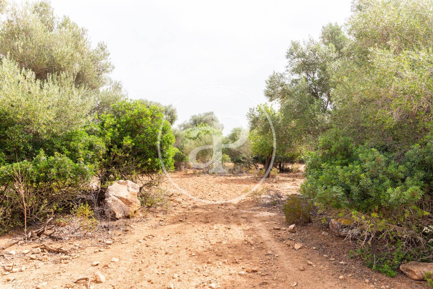 Ubebygd land til salgs i Manacor - € 390 000 (Ref: 8719056)