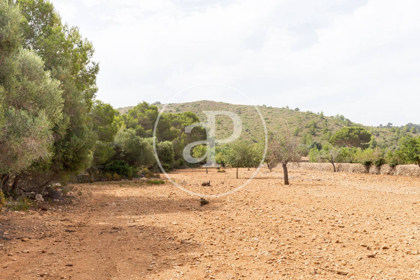 Ubebygd land til salgs i Manacor - € 390 000 (Ref: 8719056)