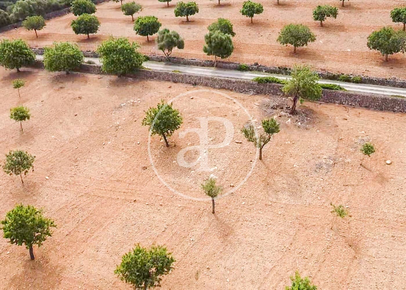 Ubebygd land til salgs i Manacor - € 390 000 (Ref: 8719056)