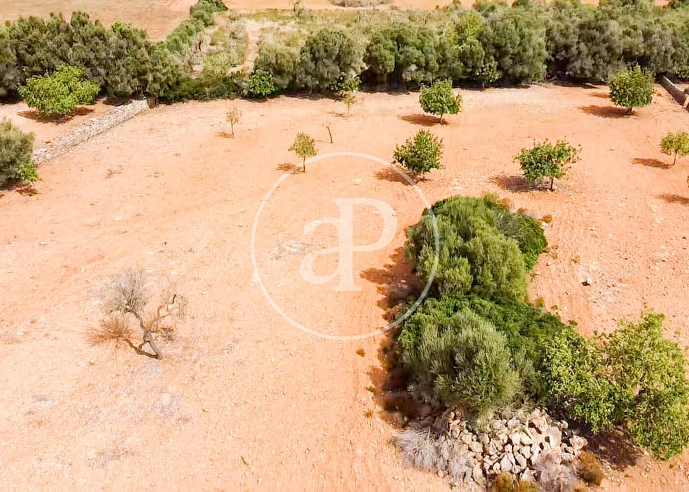 Ubebygd land til salgs i Manacor - € 390 000 (Ref: 8719056)