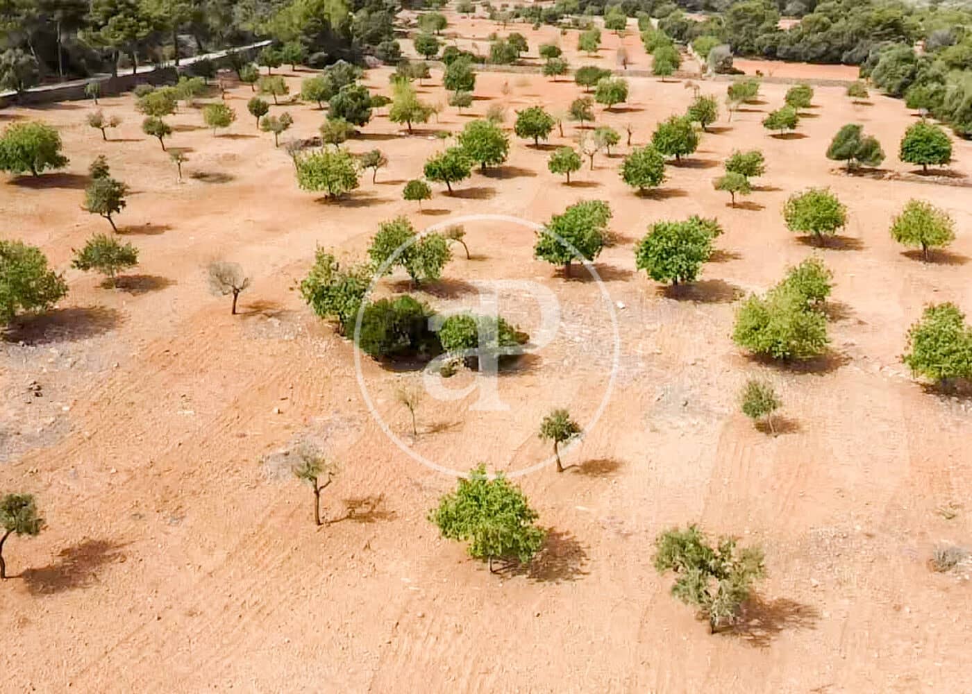 Ubebygd land til salgs i Manacor - € 390 000 (Ref: 8719056)