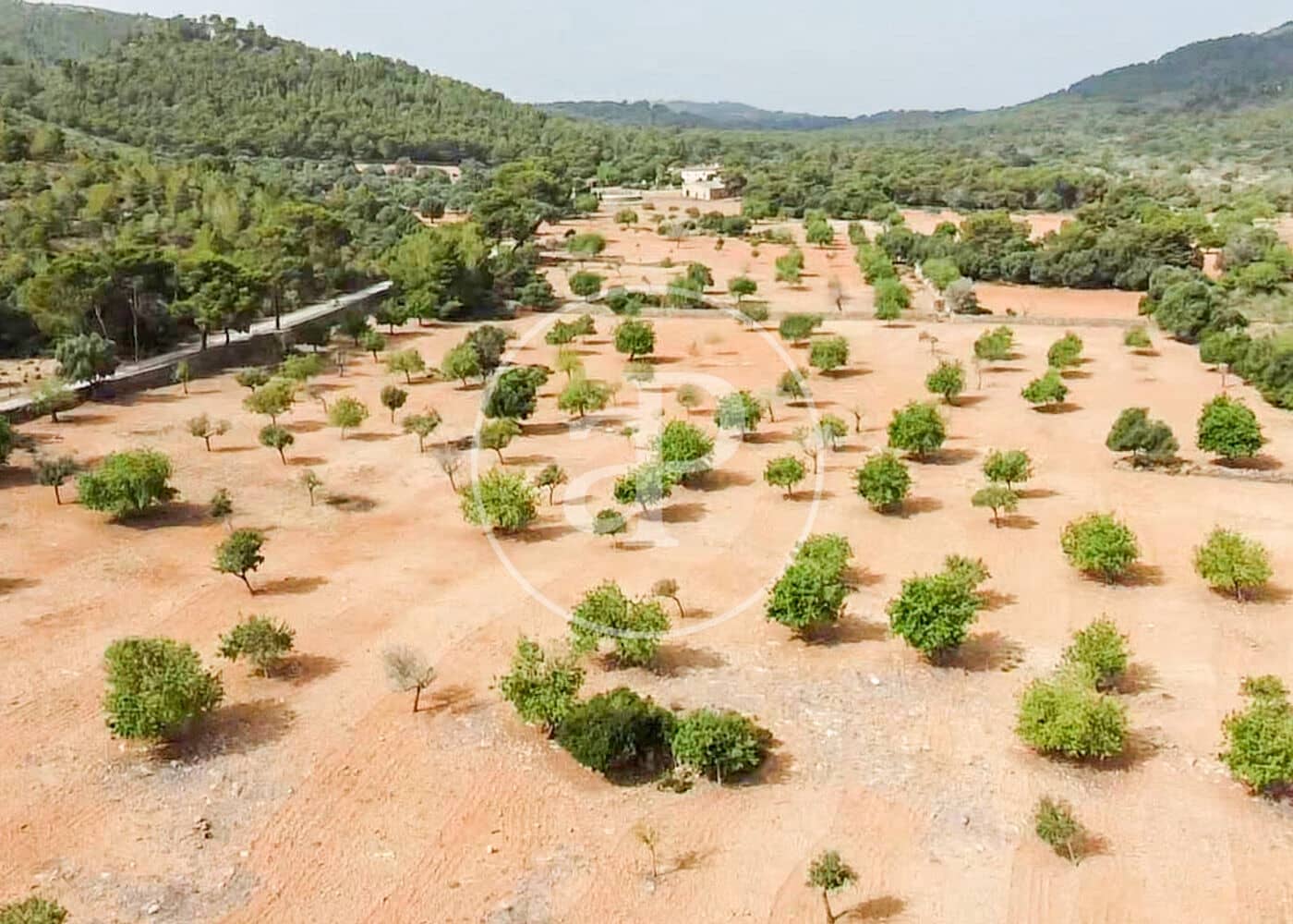Ubebygd land til salgs i Manacor - € 390 000 (Ref: 8719057)