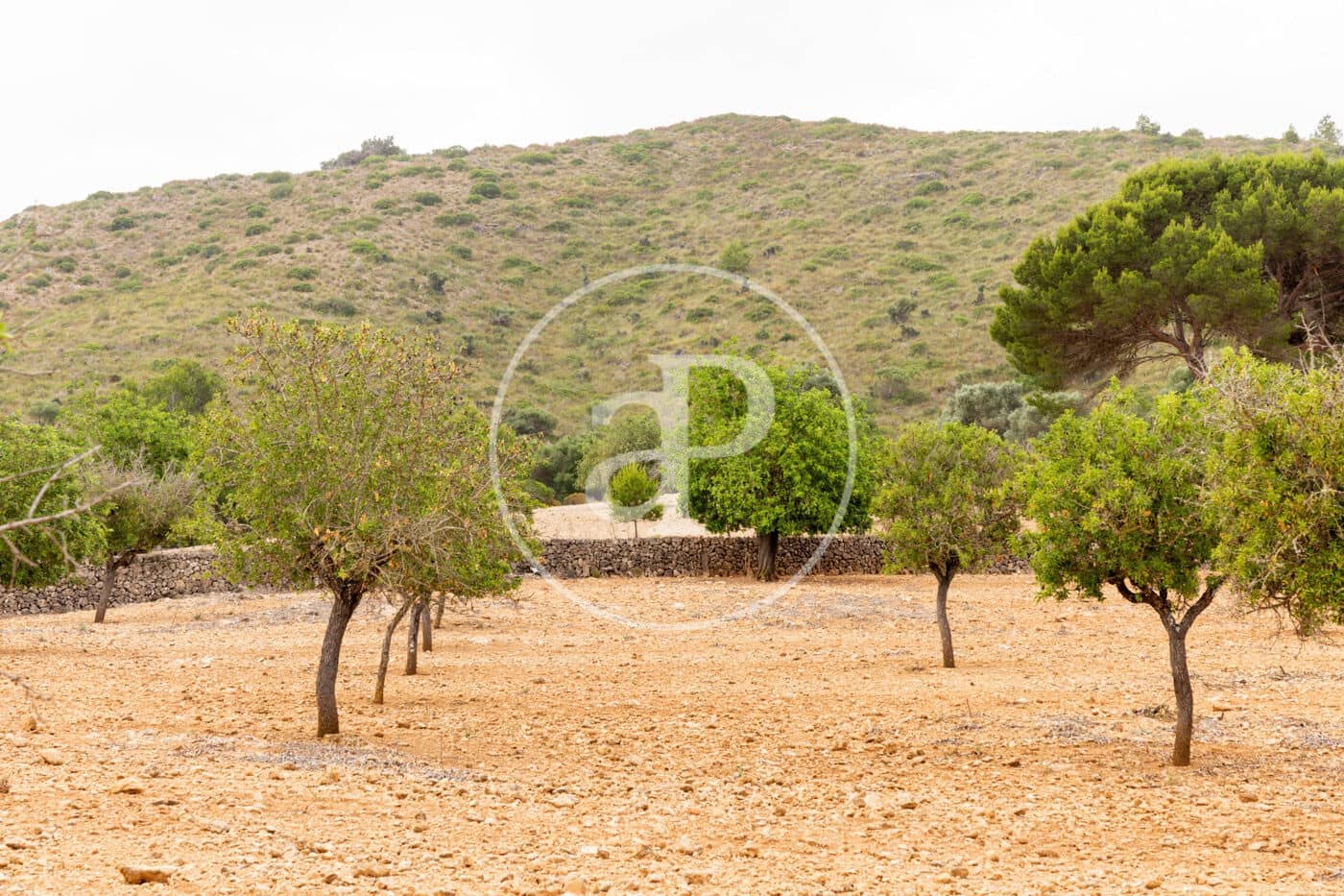 Ubebygd land til salgs i Manacor - € 390 000 (Ref: 8719057)