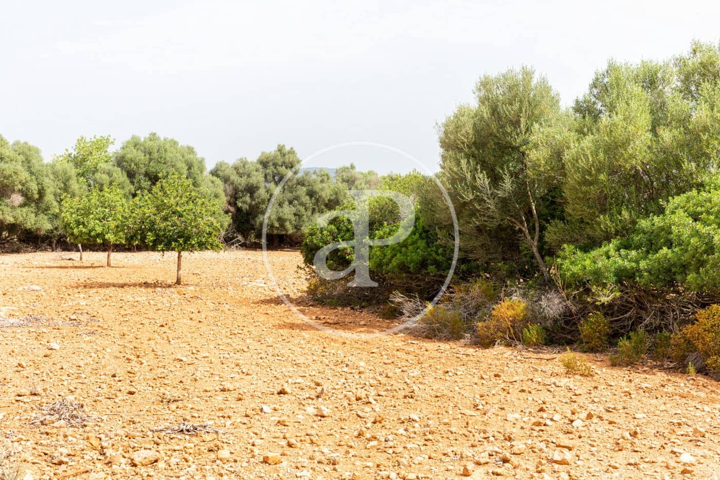 Ubebygd land til salgs i Manacor - € 390 000 (Ref: 8719057)