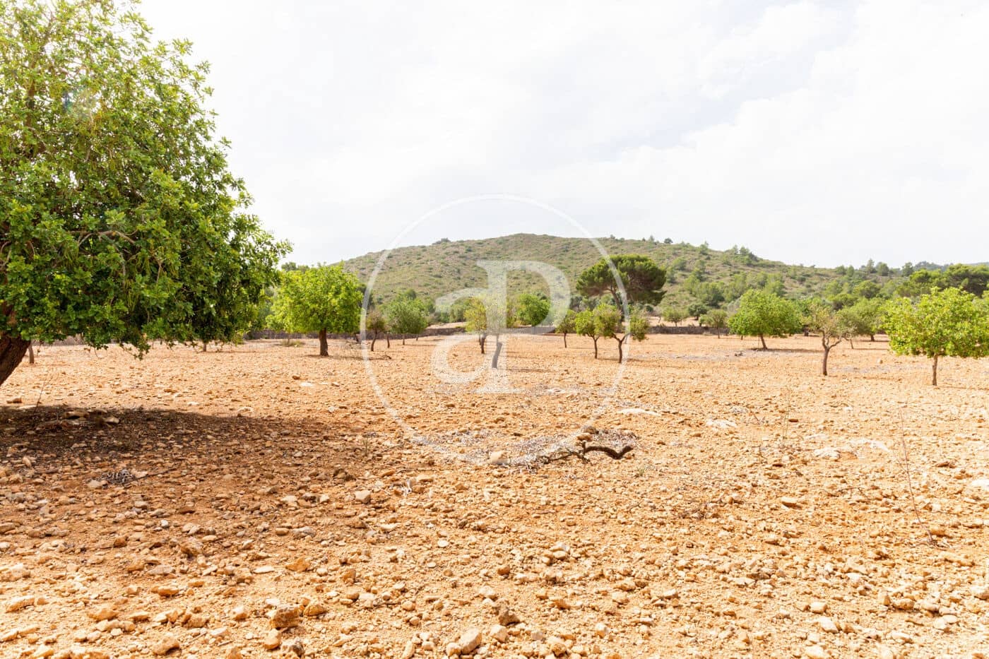 Ubebygd land til salgs i Manacor - € 390 000 (Ref: 8719057)