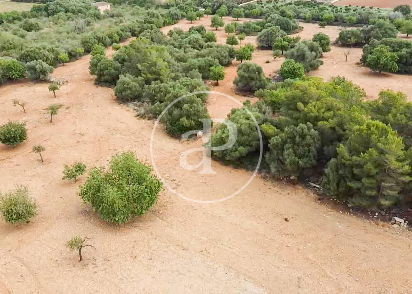 Ubebygd land til salgs i Manacor - € 390 000 (Ref: 8719057)