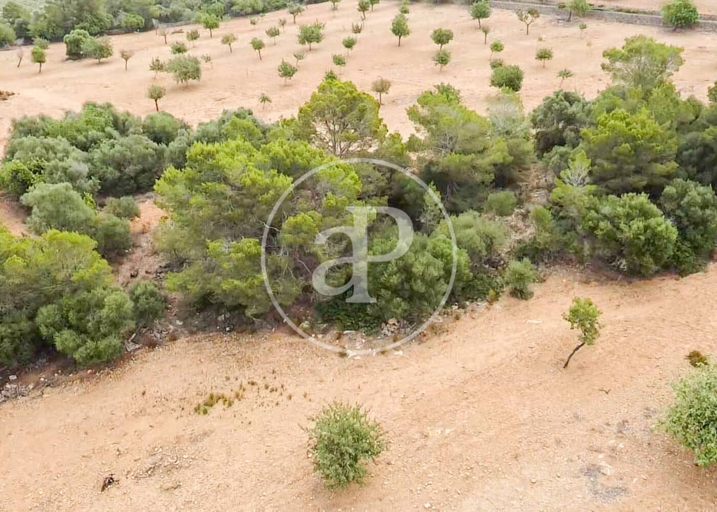 Ubebygd land til salgs i Manacor - € 390 000 (Ref: 8719057)