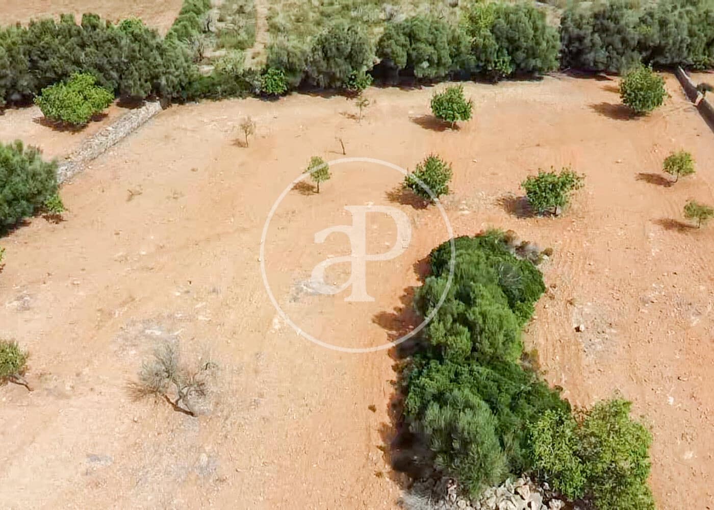 Ubebygd land til salgs i Manacor - € 390 000 (Ref: 8719057)