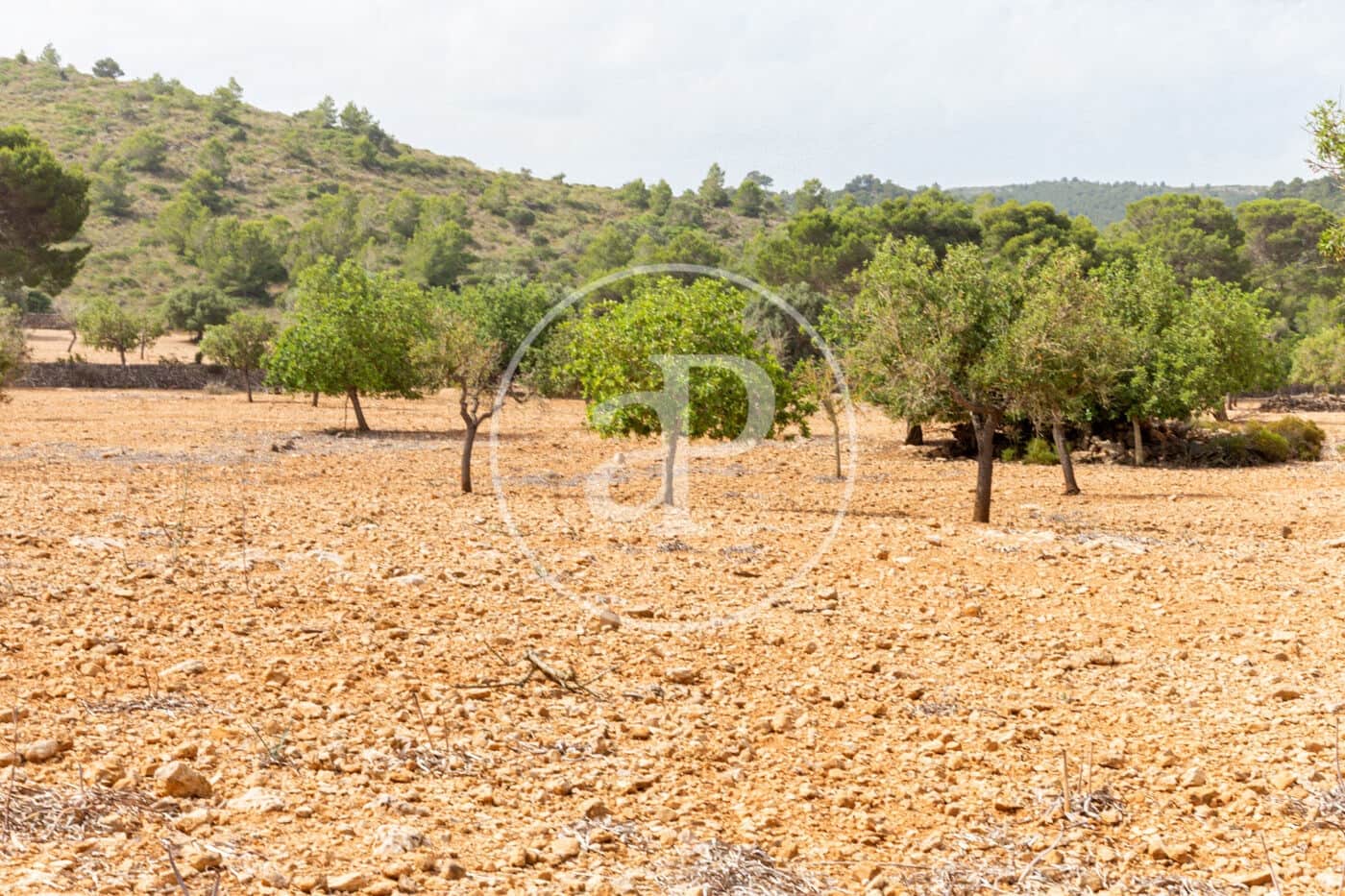 Ubebygd land til salgs i Manacor - € 390 000 (Ref: 8719057)