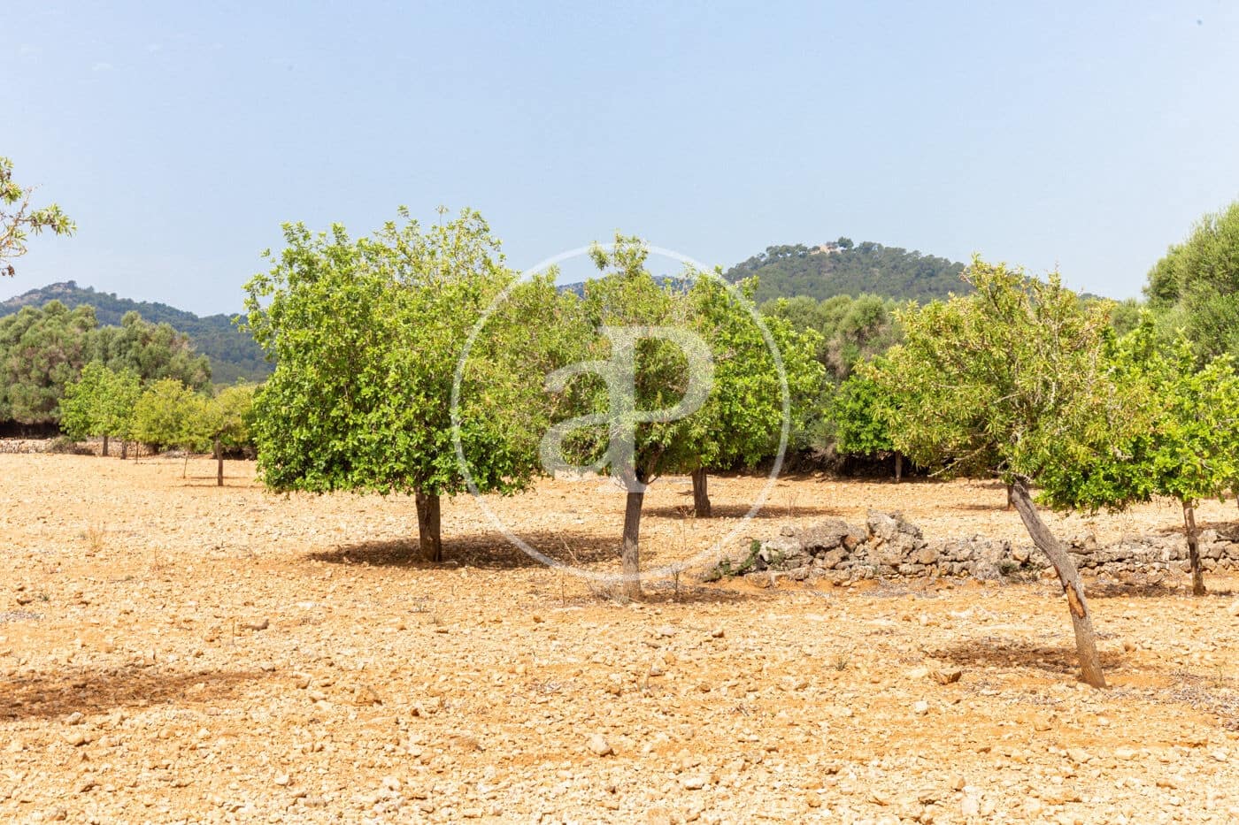 Ubebygd land til salgs i Manacor - € 390 000 (Ref: 8719057)