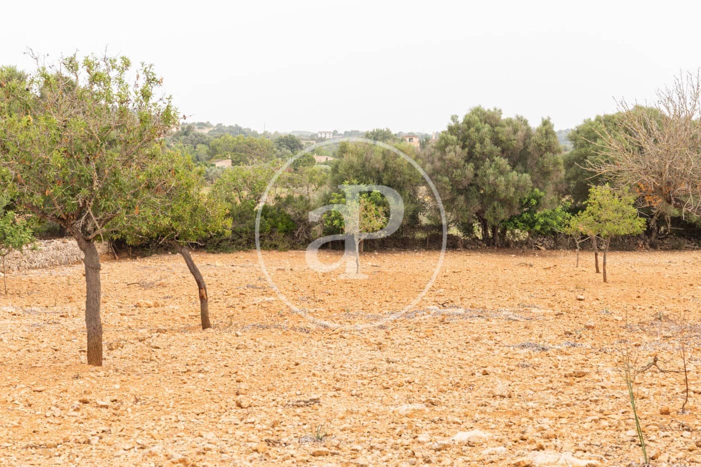 Ubebygd land til salgs i Manacor - € 390 000 (Ref: 8719057)