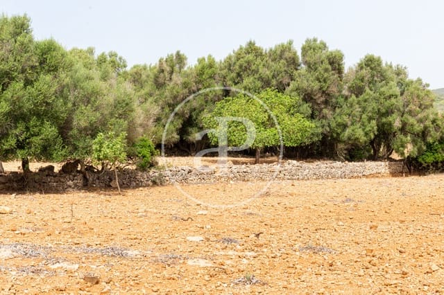 Undeveloped Land for sale in Manacor - € 390,000 (Ref: 8719057)