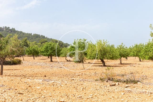 Undeveloped Land for sale in Manacor - € 390,000 (Ref: 8719057)