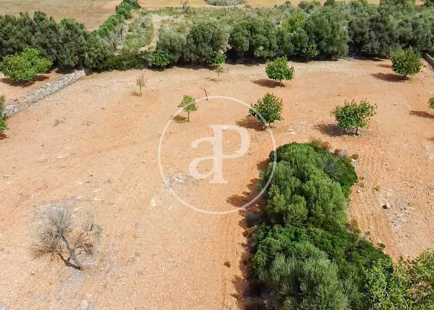 Ubebygd land til salgs i Manacor - € 390 000 (Ref: 8719057)