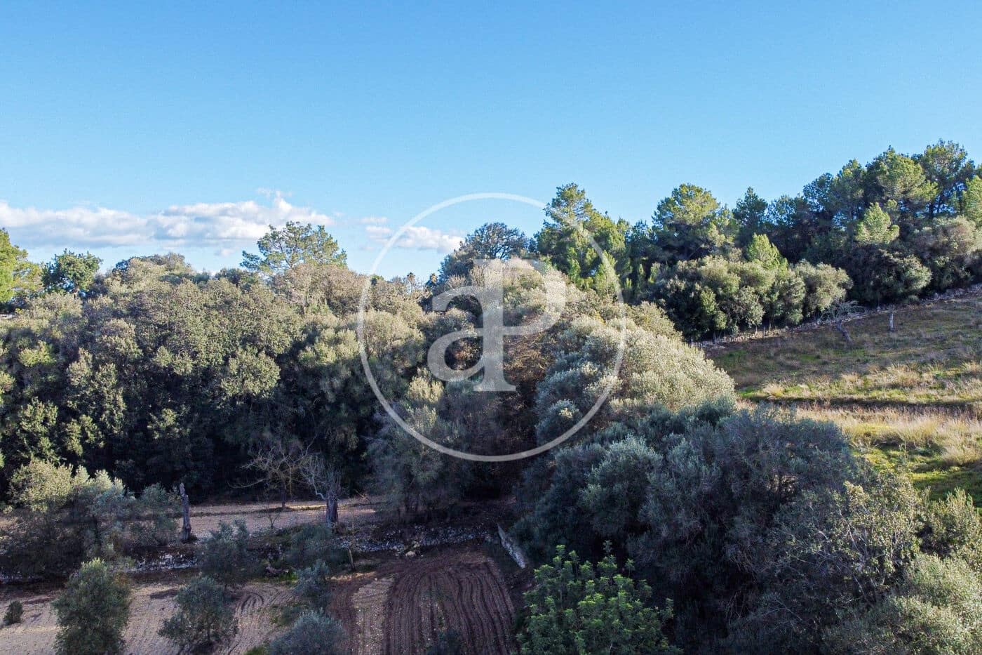 Grunde uden byggetilladelser til salg i Santa Margalida - € 450.000 (Ref: 8719068)