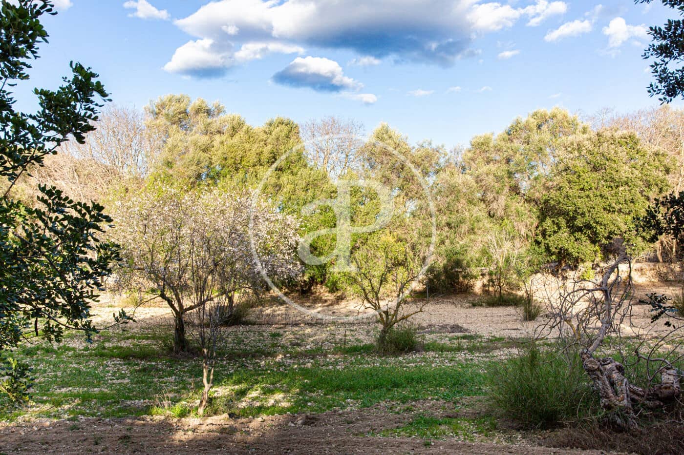 Grunde uden byggetilladelser til salg i Santa Margalida - € 450.000 (Ref: 8719068)