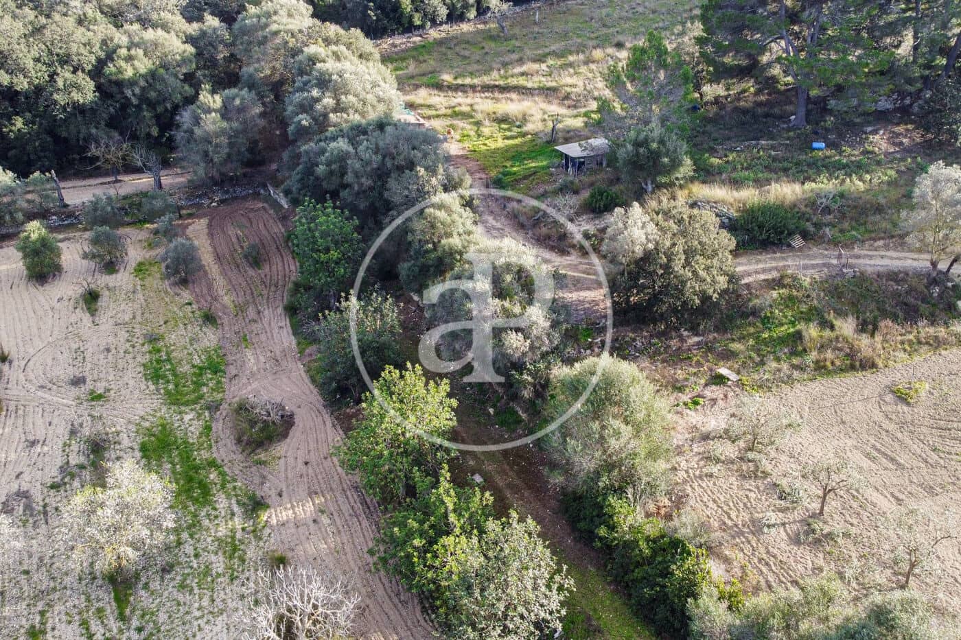 Grunde uden byggetilladelser til salg i Santa Margalida - € 450.000 (Ref: 8719068)