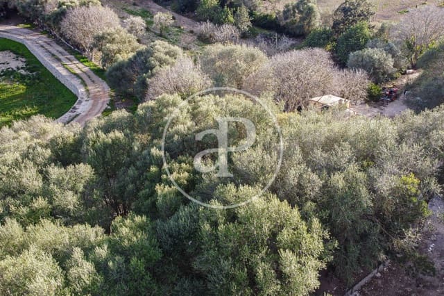 Undeveloped Land for sale in Santa Margalida - € 450,000 (Ref: 8719068)