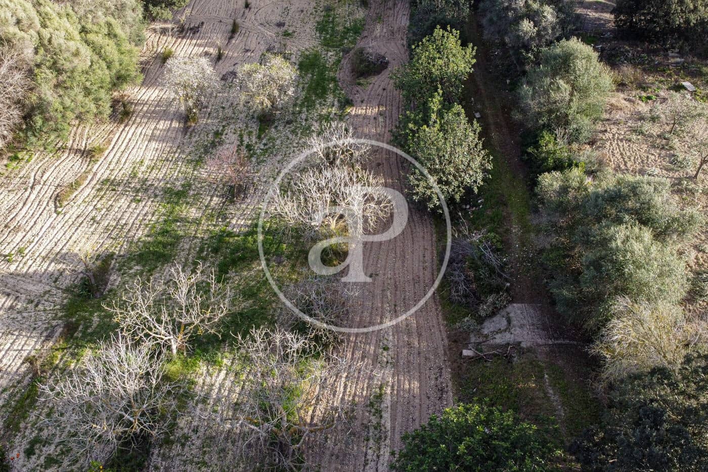 Grunde uden byggetilladelser til salg i Santa Margalida - € 450.000 (Ref: 8719068)