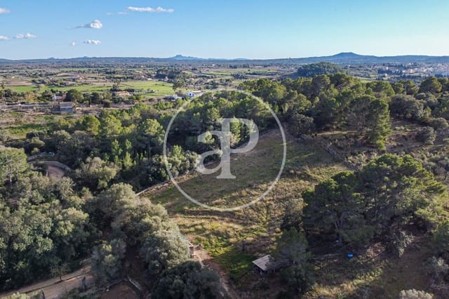 Undeveloped Land for sale in Santa Margalida - € 450,000 (Ref: 8719068)